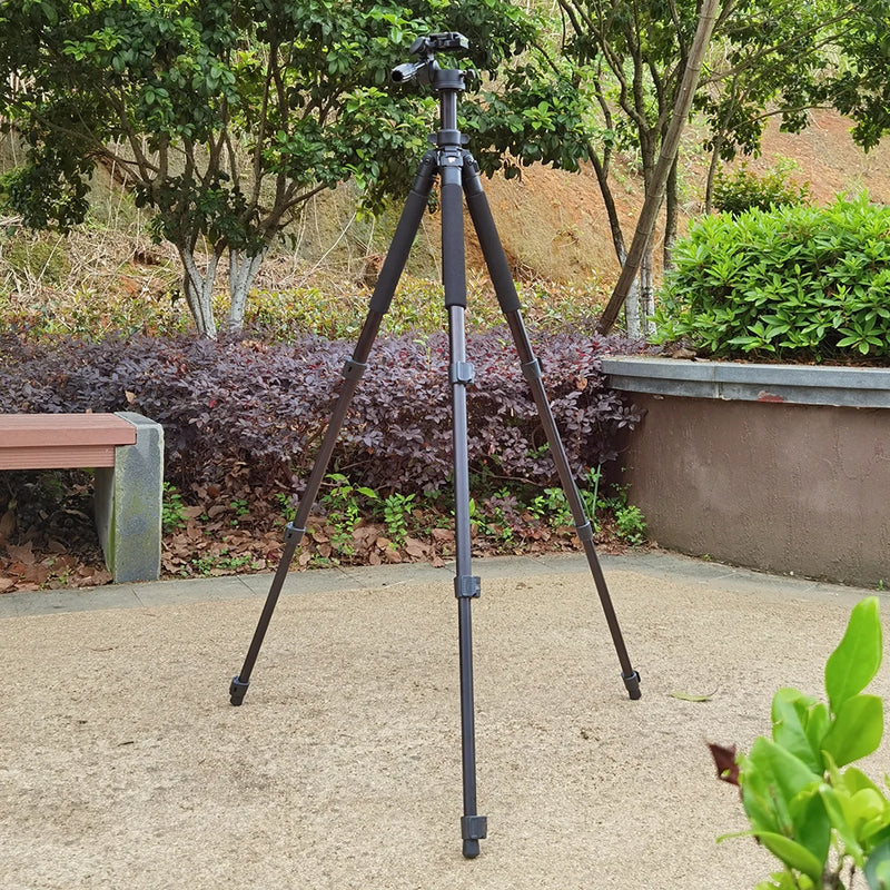 Weifeng WF6663A 6663A Professional Flexible Portable Camera Tripod with Tripod Head for DSLR Camera Camcorder Video Camera Stand