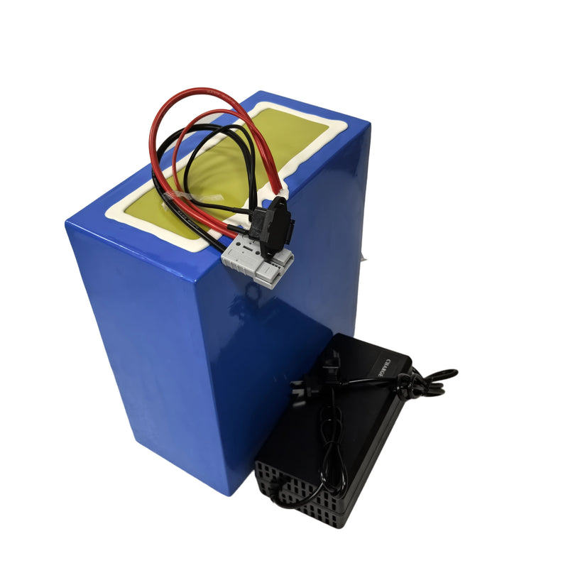 Batterie au lithium LiFePO4, 48V, 20Ah, cellule LiFePO4, BMS 16S, 51.2V, 2000W, scooter électrique, vélo électrique, vélo électr